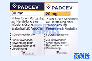 恩诺单抗(PADCEV)